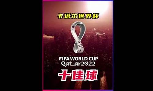 2010世界杯10佳球_2010世界杯最佳11人